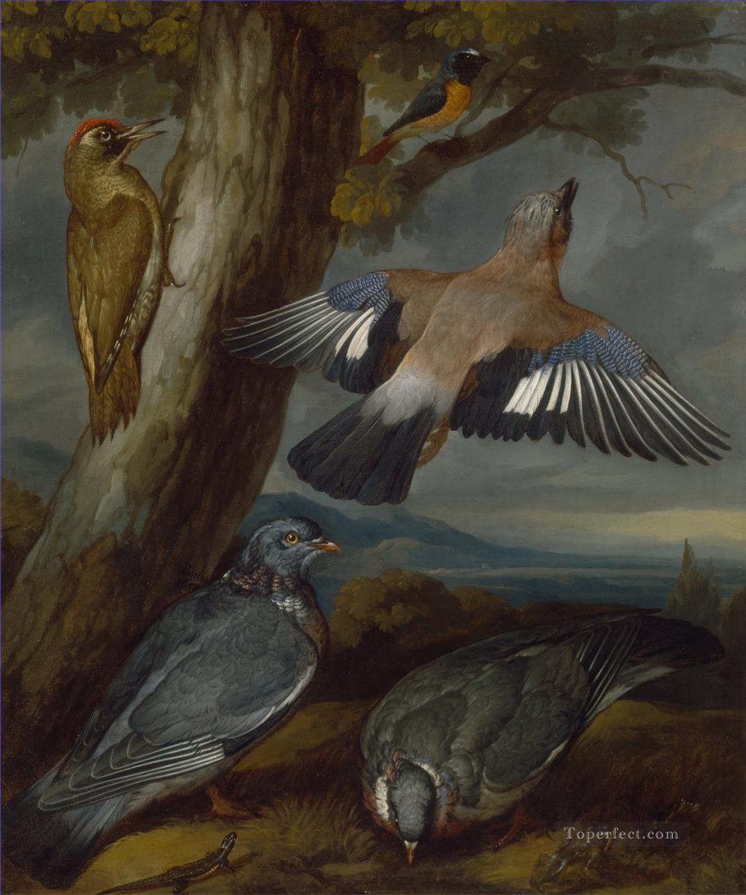 Francis Barlow Pigeons piverts Jay Green et Redstart Peintures à l'huile